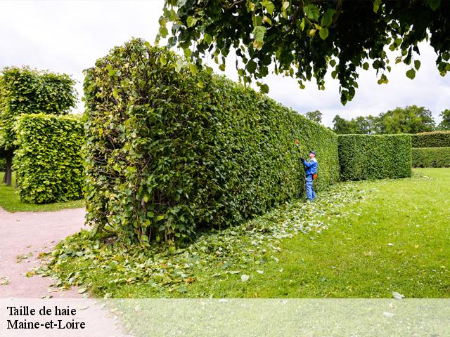Taille de haie Maine-et-Loire 