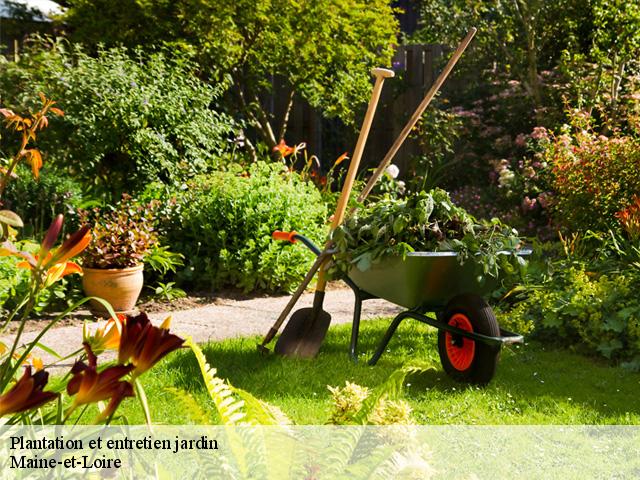 Plantation et entretien jardin Maine-et-Loire 