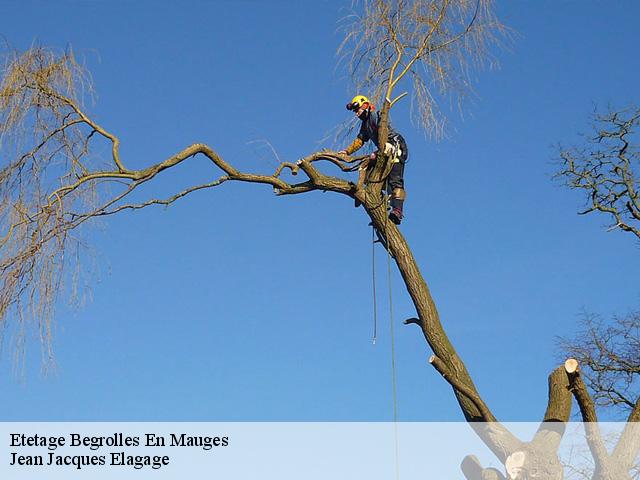 Etetage  begrolles-en-mauges-49122 Jean Jacques Elagage