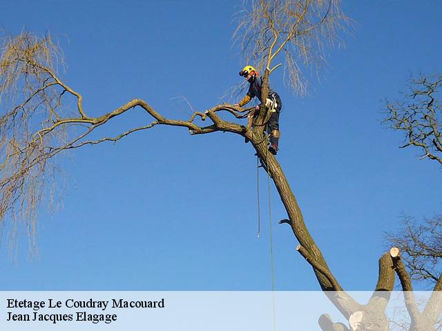 Etetage  le-coudray-macouard-49260 Jean Jacques Elagage