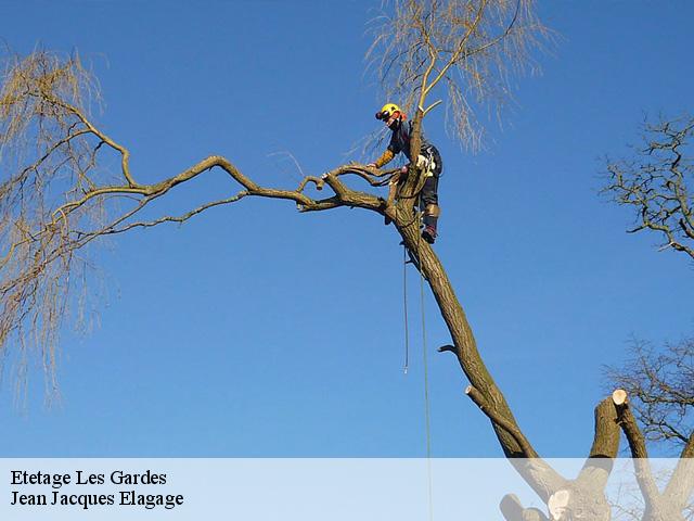 Etetage  les-gardes-49120 Jean Jacques Elagage