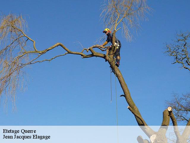 Etetage querre-49330 Jean Jacques Elagage