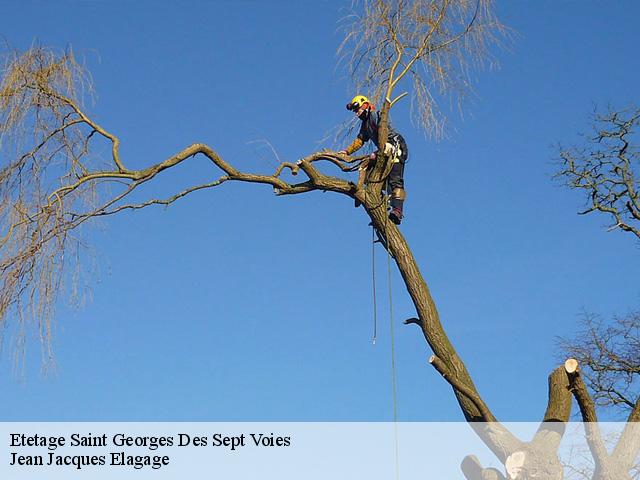 Etetage saint-georges-des-sept-voies-49350 Jean Jacques Elagage