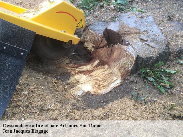 Dessouchage arbre et haie  artannes-sur-thouet-49260 Jean Jacques Elagage