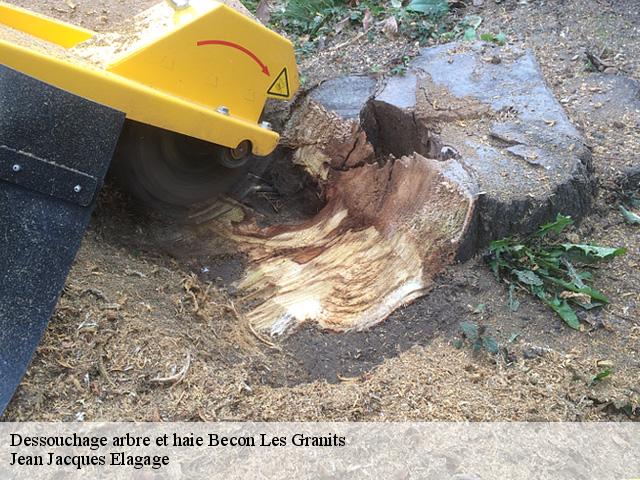 Dessouchage arbre et haie  becon-les-granits-49370 Jean Jacques Elagage