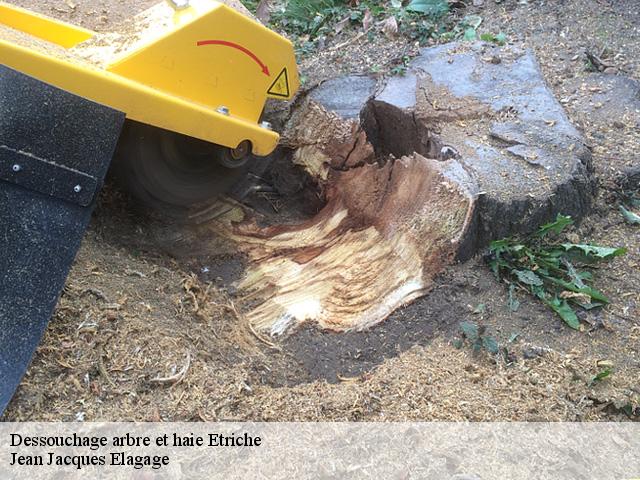 Dessouchage arbre et haie etriche-49330 Jean Jacques Elagage