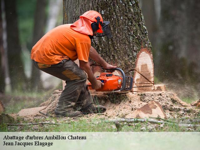 Abattage d'arbres  ambillou-chateau-49700 Jean Jacques Elagage