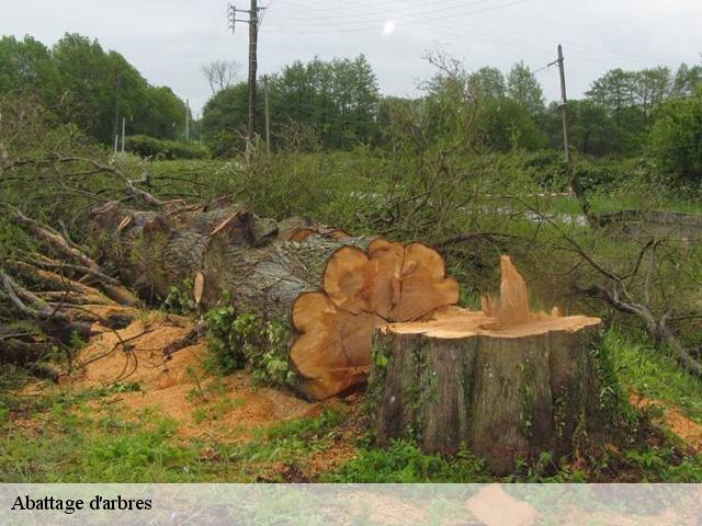 Abattage d'arbres