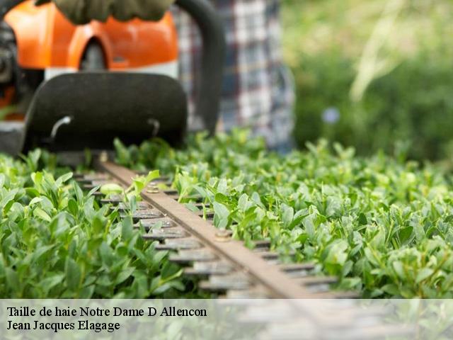 Taille de haie notre-dame-d-allencon-49380 Jean Jacques Elagage