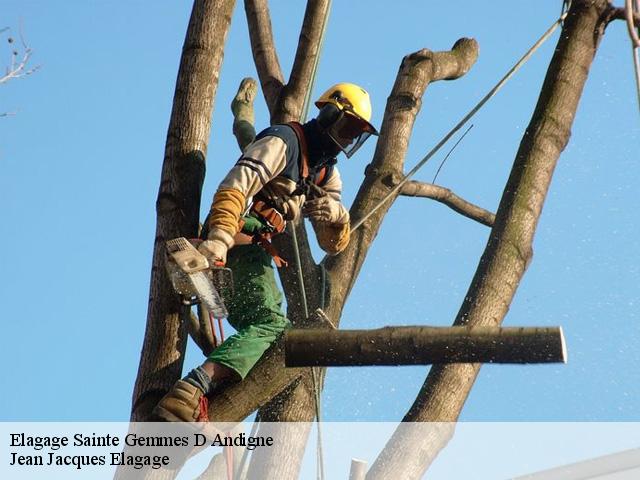 Elagage sainte-gemmes-d-andigne-49500 Jean Jacques Elagage