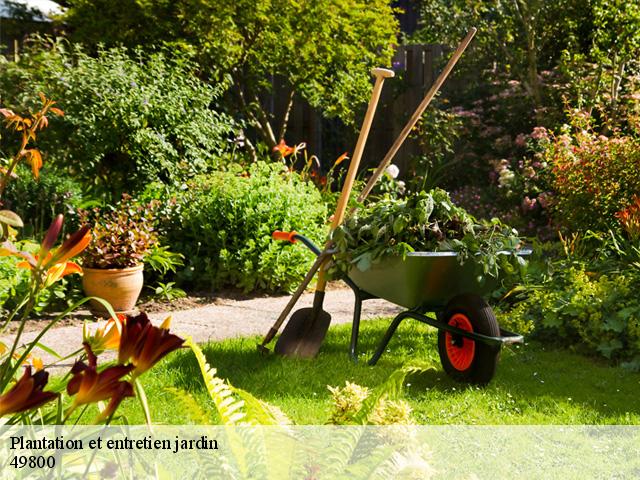 Plantation et entretien jardin 49800
