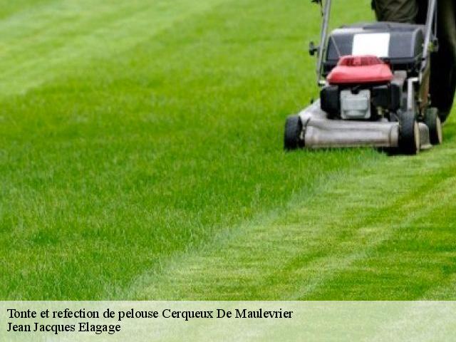 Tonte et refection de pelouse cerqueux-de-maulevrier-49360 Jean Jacques Elagage