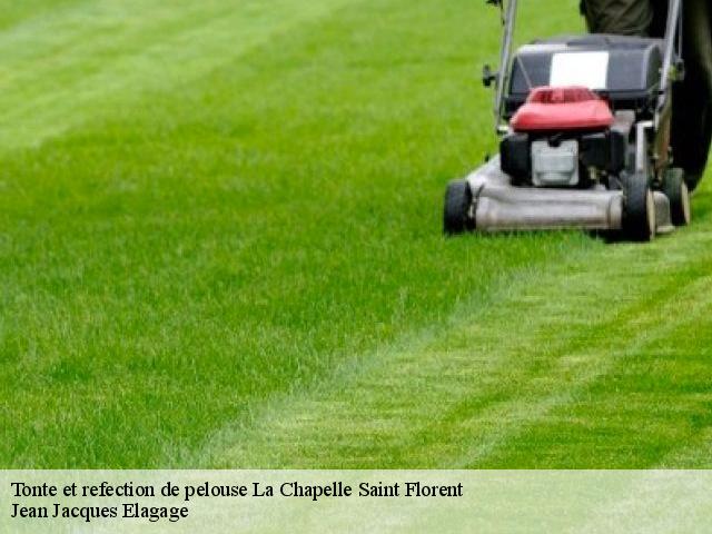 Tonte et refection de pelouse  la-chapelle-saint-florent-49410 Jean Jacques Elagage
