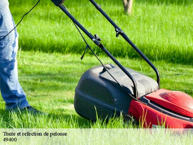 Tonte et refection de pelouse 49400