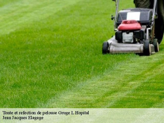 Tonte et refection de pelouse  gruge-l-hopital-49520 Jean Jacques Elagage