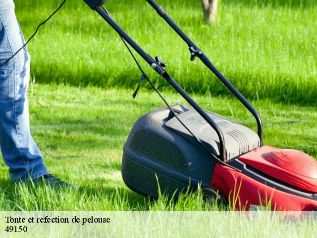 Tonte et refection de pelouse 49150