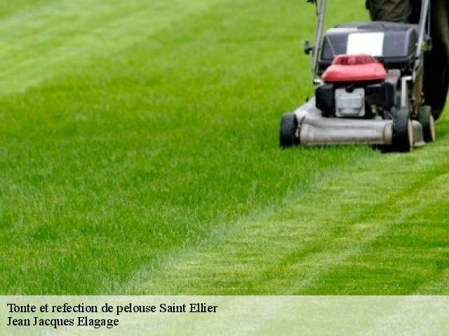 Tonte et refection de pelouse  saint-ellier-49320 Jean Jacques Elagage