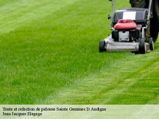 Tonte et refection de pelouse  sainte-gemmes-d-andigne-49500 Jean Jacques Elagage